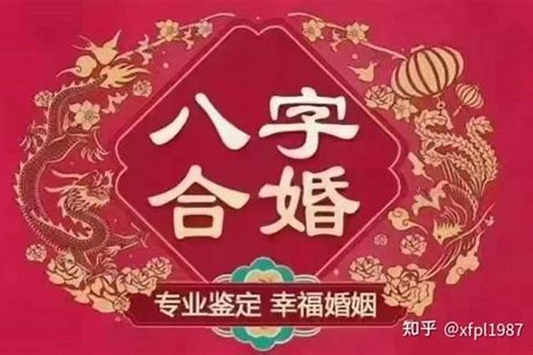 八字合婚知乎全文