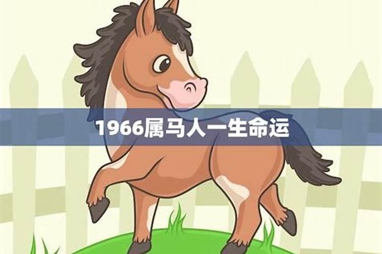 1966年属马人终身寿命