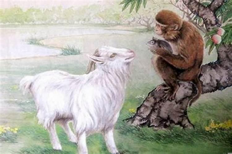羊命男与猴命女：八字合婚的奥秘解析