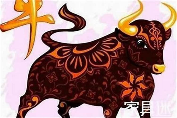 属牛的今年本命年运气怎么样呢