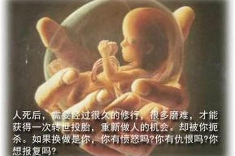 为堕胎婴儿超度：寻找失落的灵魂