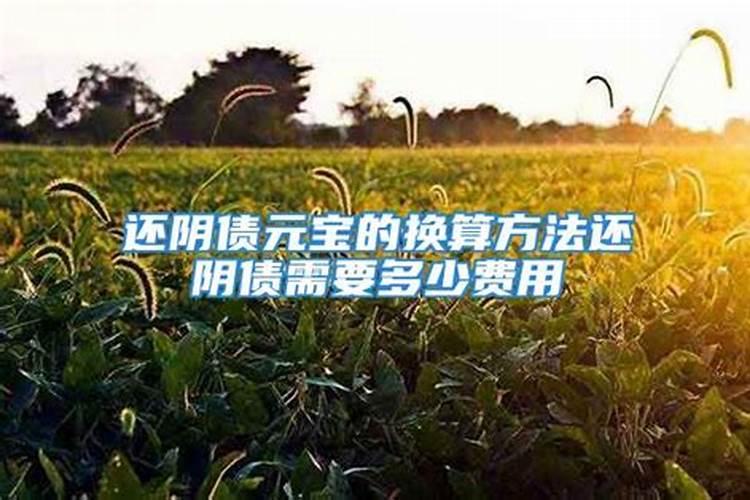 还阴债元宝个数怎么算