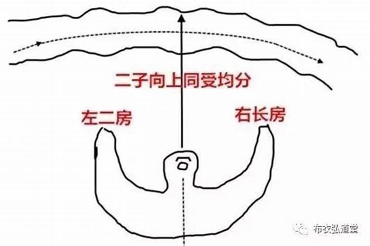 生肖猪和生肖蛇合不合