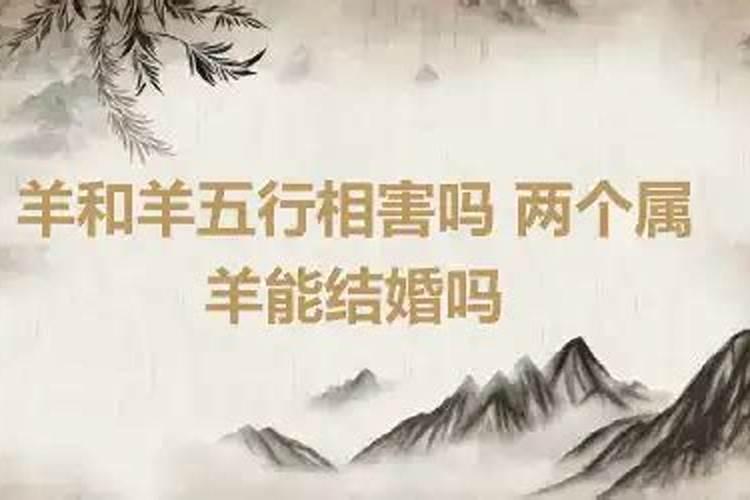 属羊可以跟属羊的结婚吗