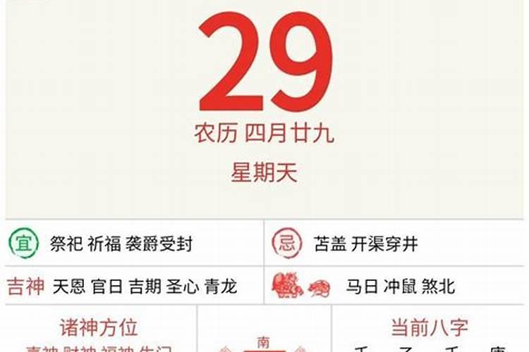 麦玲玲2022年十二生肖运势详解