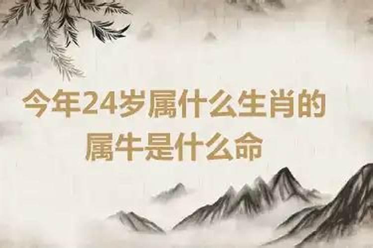 24岁属什么生肖属相