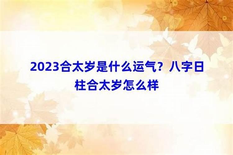 2021合太岁的属相