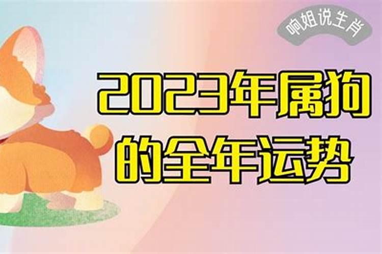 属狗2023年运势详解全年运程完整版1982年