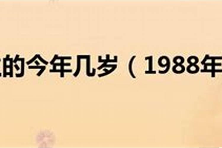 88年今年是本命年吗