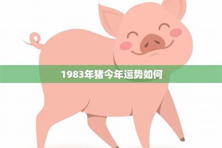 1983年的猪今天财运怎么样