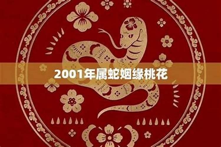 2001年属蛇姻缘在哪年