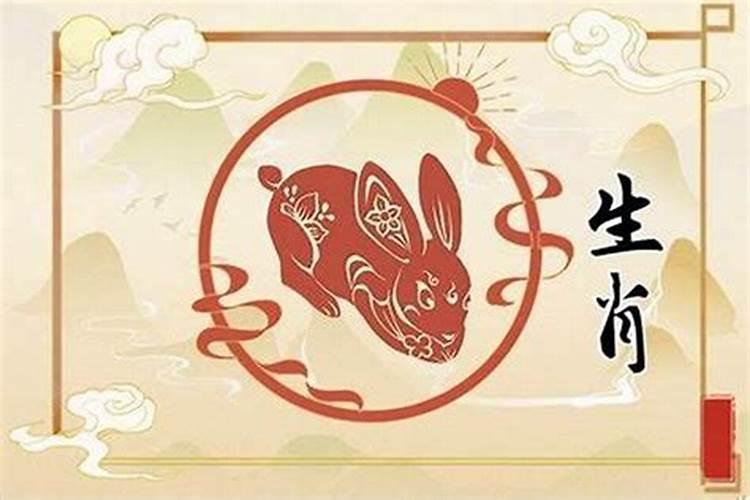 属兔适合哪一年结婚最好