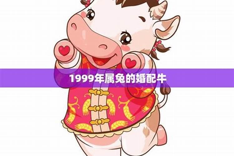 99年属兔的最佳婚配