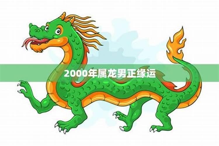 2000年属龙男姻缘什么时候到