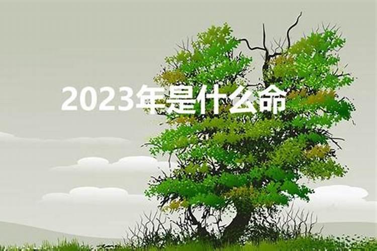 属2023年五行属什么命