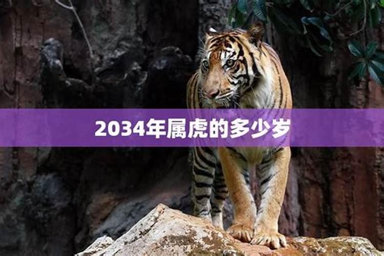 2024年属虎的人多少岁