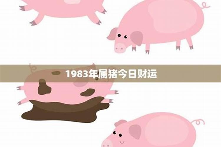 1983属猪今日运势