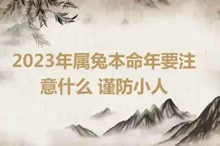 属兔2023年本命年应注意什么