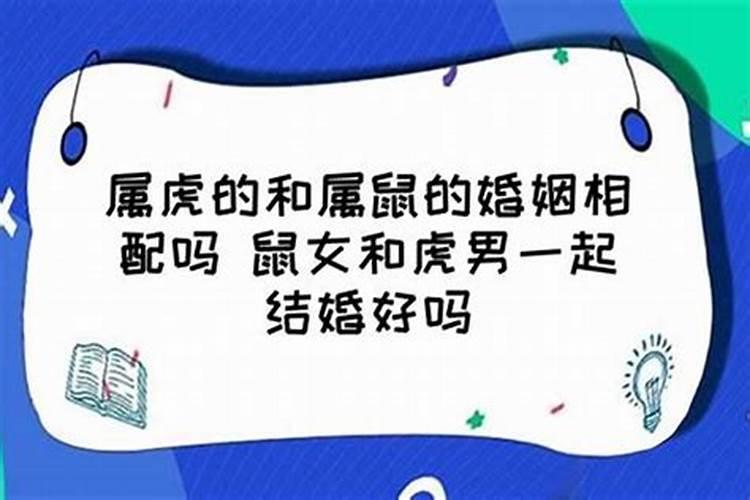 属虎和属鼠的婚姻怎么样好不好呢