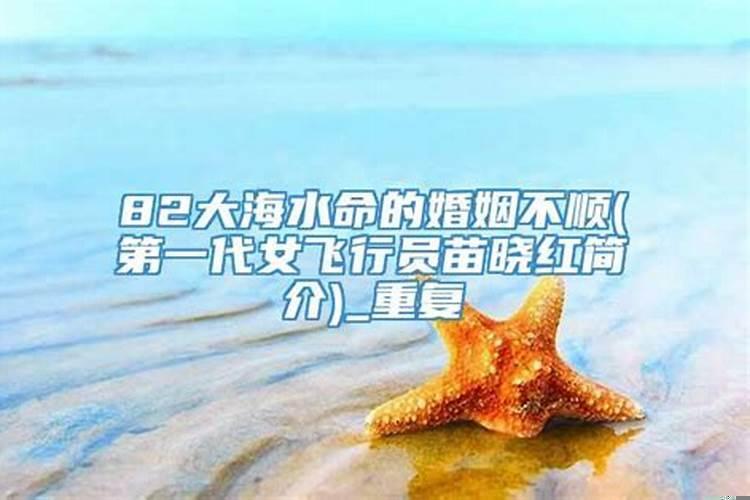 大海水命最佳婚配