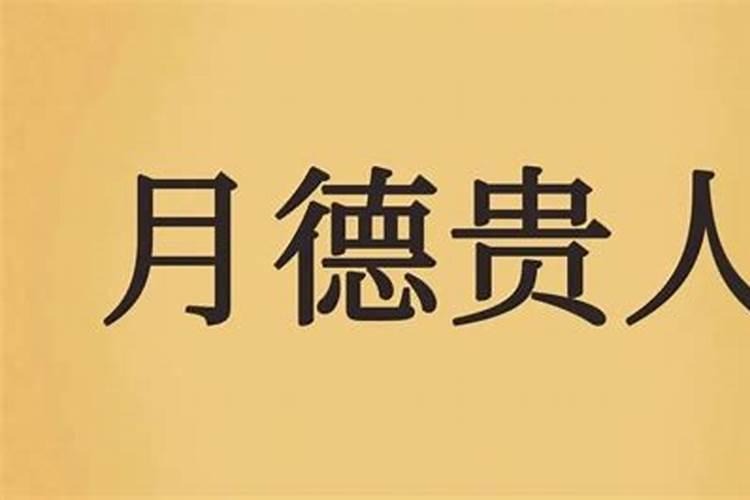 鼠的本命年和哪些属相犯冲