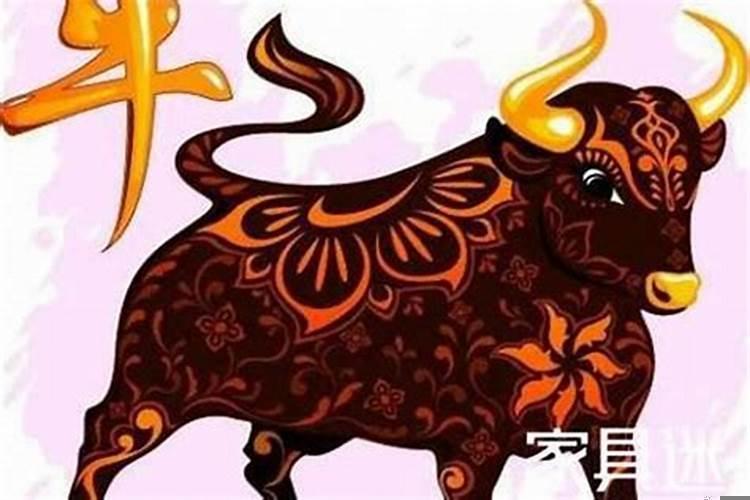 属牛的女生今年运势怎么样呀