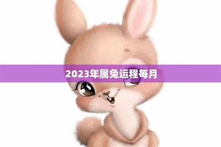 2023属兔运势