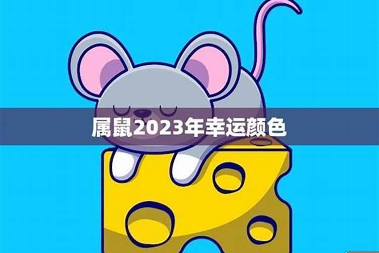 属鼠2020年幸运颜色