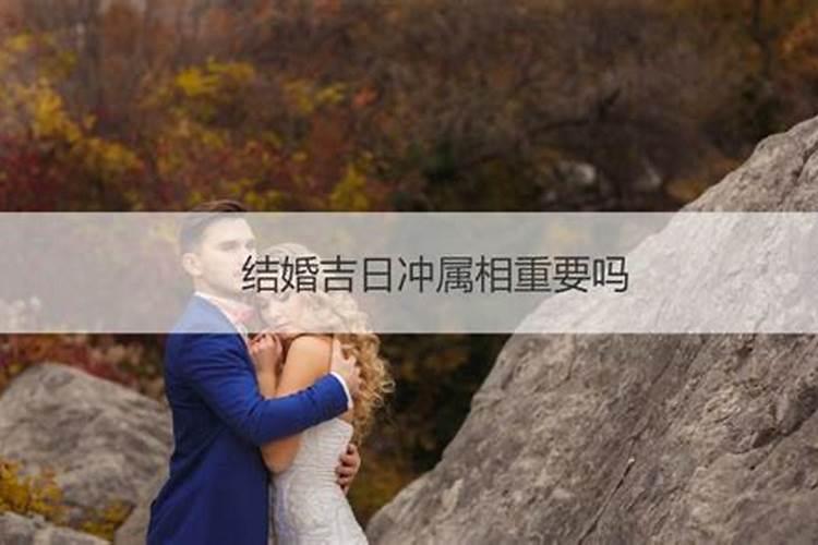 结婚吉日怎么选择避开属相相冲的日子