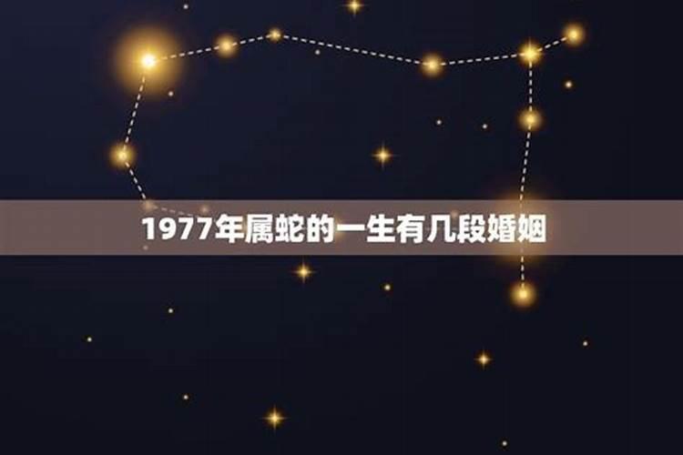 1977年属蛇女最佳配偶属相是什么生肖