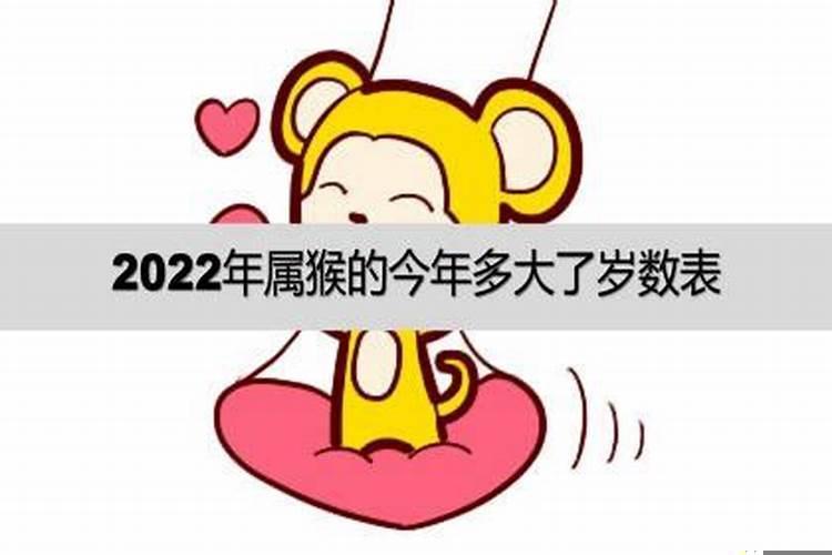 属猴今年多大了2022年