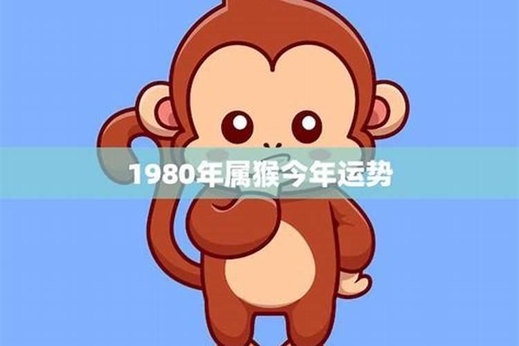 1980年的属猴今年的每月运势