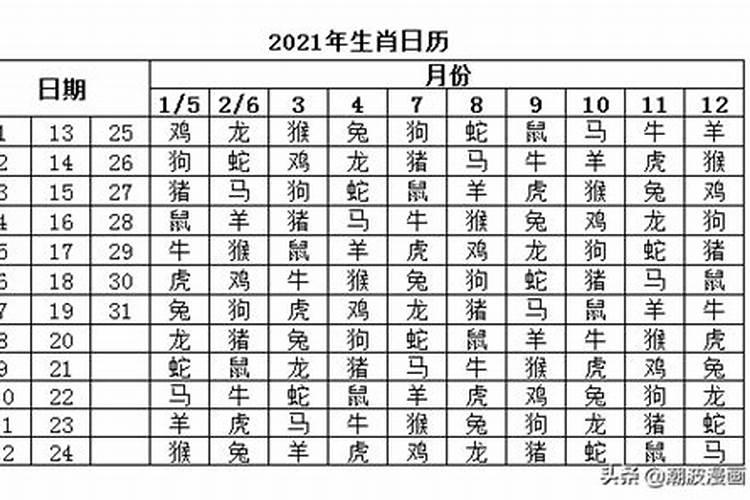 今日属相冲什么属相