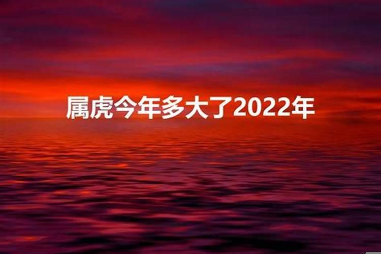 2022年属虎的多大年龄虚岁