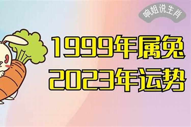 1999年属兔人2023年运势运程