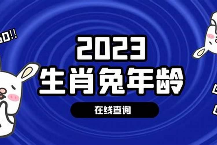 兔属相今年几岁