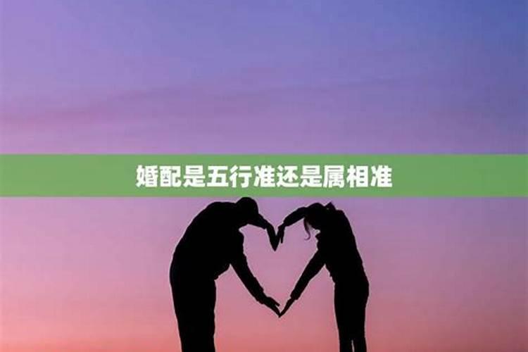 婚配星座准还是属相准