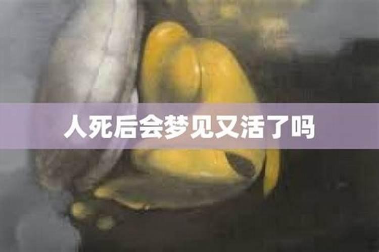 梦见自己的丈夫死了又活过来了啥意思啊周公解梦