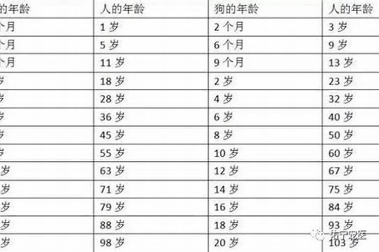 属狗的虚岁今年多大了