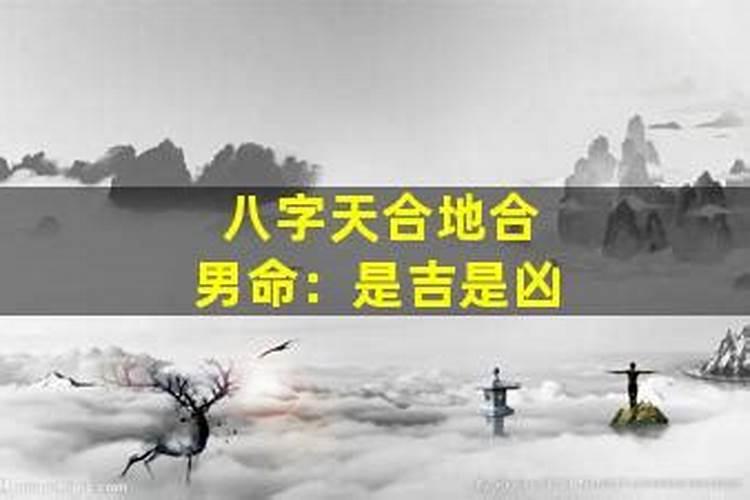 两人八字天合地合是什么意思