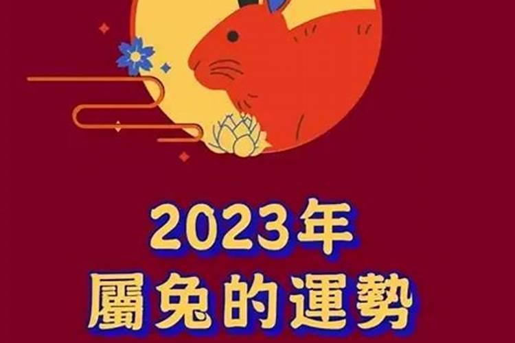 2023年属兔犯太岁什么意思