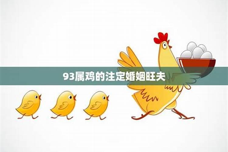 属蛇和属鸡的合不合