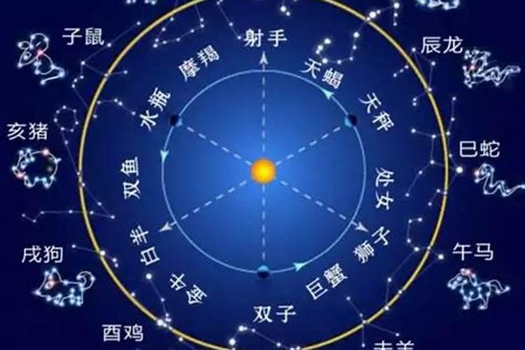 婚姻属相和星座哪个准一点