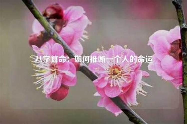 八字怎么推断自己的命运