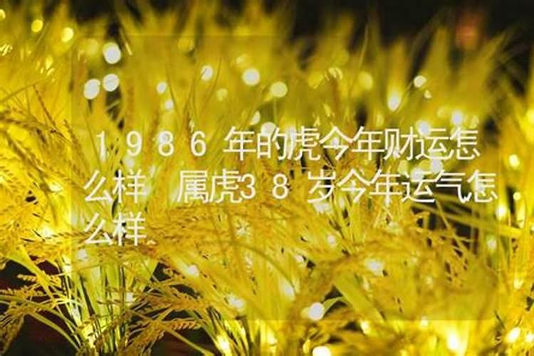 属虎今年怎么样