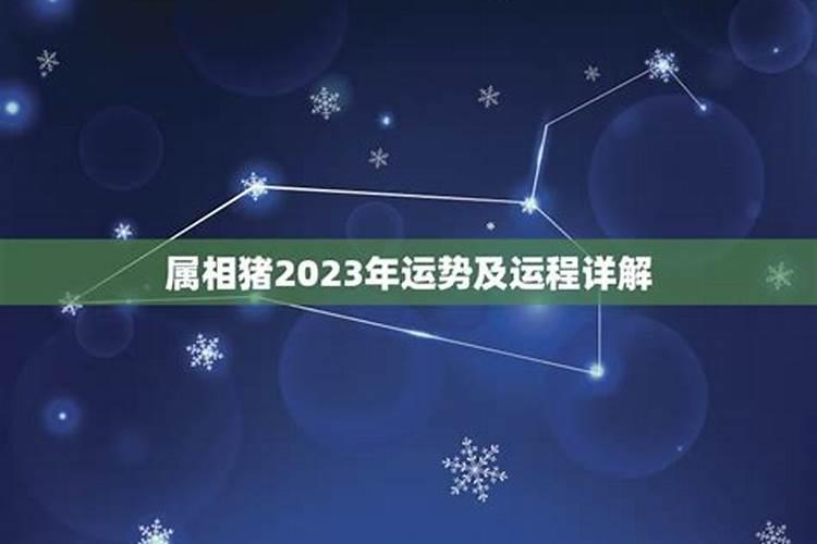 2023年龙的运势及运程