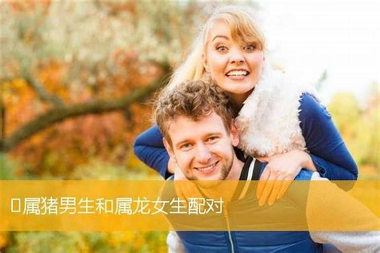 男属龙女属马能结婚吗好吗