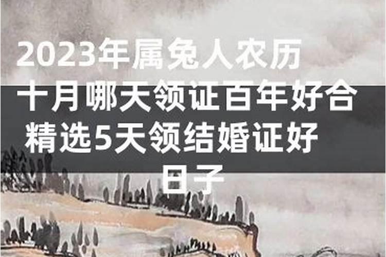 属兔今年可以领结婚证吗