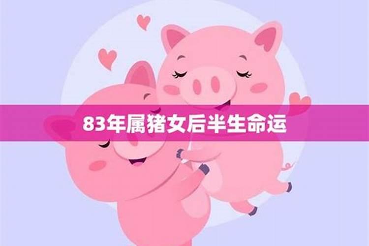 83年属猪女后半生婚姻怎么样呢