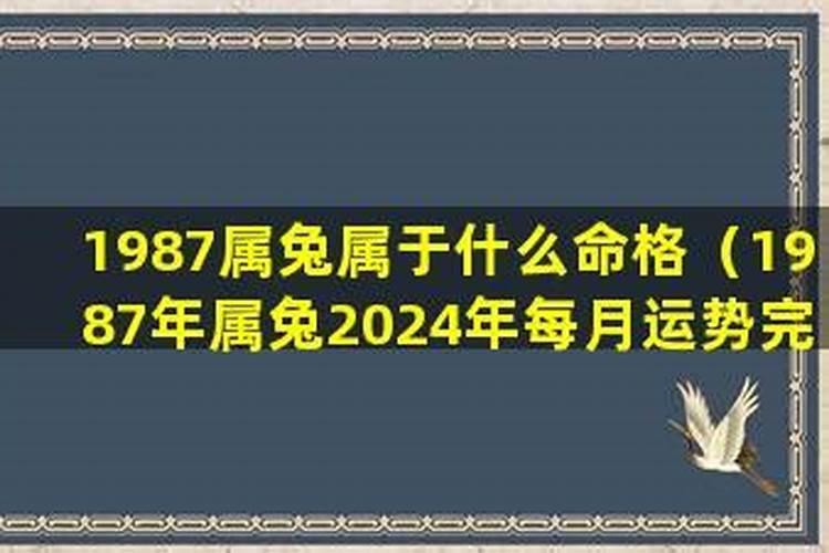 1987属兔2024年运势